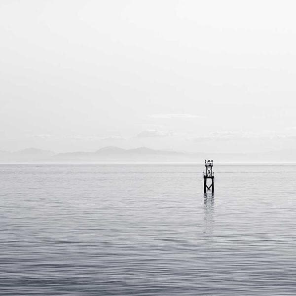 楊枝甘露（1L） 2